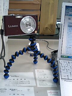 群馬の名産って・・・・？？