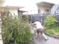 台風2号のちみかーたー 2011/05/29 12:48:45