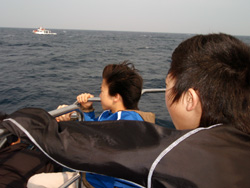 クジラＧＥＴ