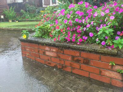 雨の参観日！