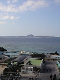 美ら海水族館に来てます。 2009/12/08 14:30:00