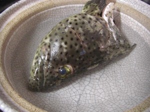 ユダヤミーバイしゃぶしゃぶ