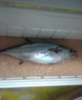 伊是名島2泊3日釣行記～１～
