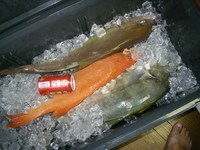食す！ 2007/12/13 23:27:00