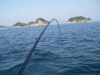 初船釣りでめで鯛を釣る 2008/01/04 15:44:37