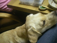 プランＢ 2008/02/08 14:33:17