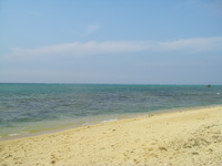 まったりぃー 2008/04/21 15:52:14
