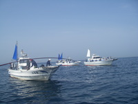 佐田岬でアジ釣り 2008/05/04 23:28:00