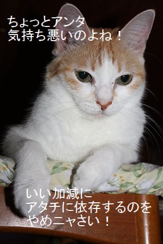 プリンプリン物語