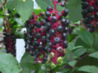 【第三章　呪文】 2011/06/10 12:34:52
