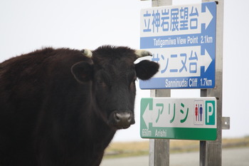 与那国島さらっとダイジェスト２