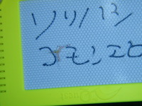 ソリハシコモンエビ