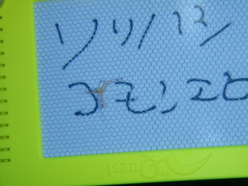 ソリハシコモンエビ