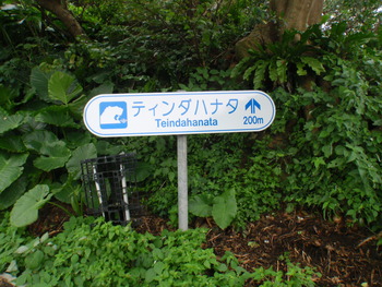 ティンダハナタ