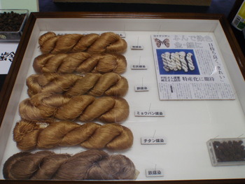 アヤミハビル館