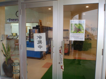 アヤミハビル館