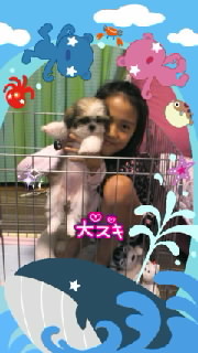 ★１０さい★ 2010/11/15 20:21:11