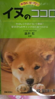 ★Ｉ　ＷＩＳＨ。。。★ 2010/12/13 01:04:10