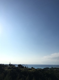 2月のお知らせ