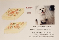 2018年ご挨拶