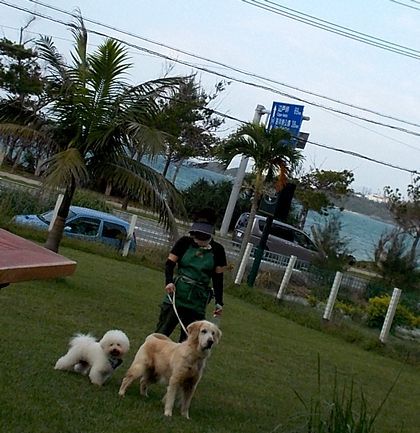 ＋犬走る茶屋＋