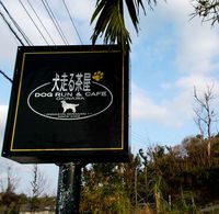 ＋犬走る茶屋＋
