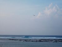 ＋南部の海＋