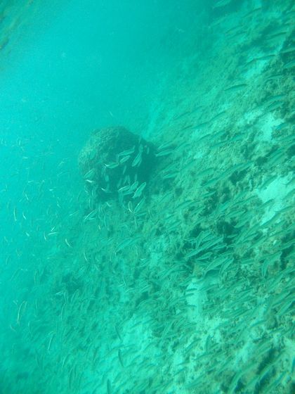 ＋南部の海＋