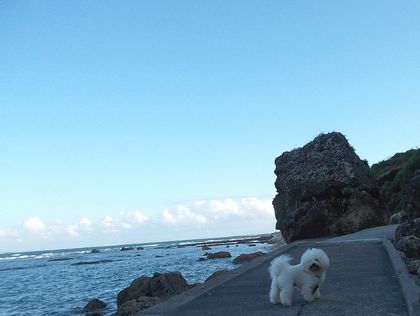 ＋海辺の散歩＋