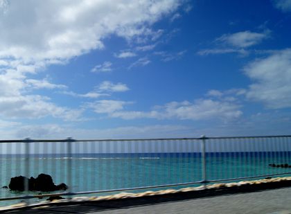 ＋旅　2日目③★海洋博公園＋