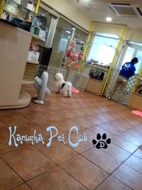 ＋旅　2日目⑤★カヌチャリゾート＋ 2013/11/11 22:41:07