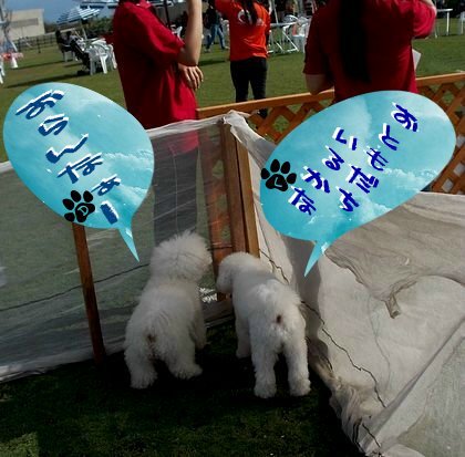＋Pet　Date＋