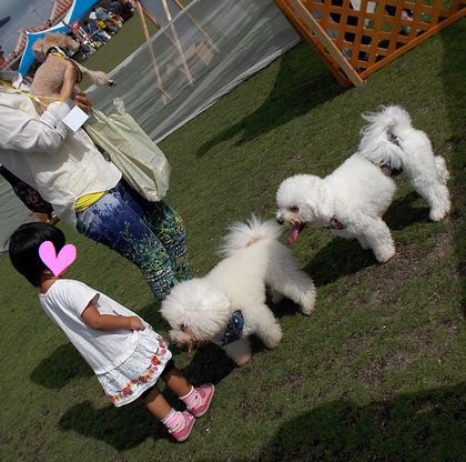 ＋Pet　Date＋