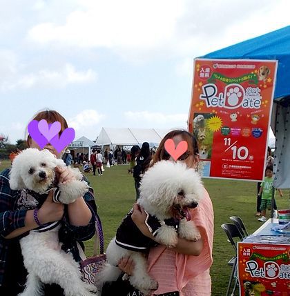 ＋Pet　Date＋