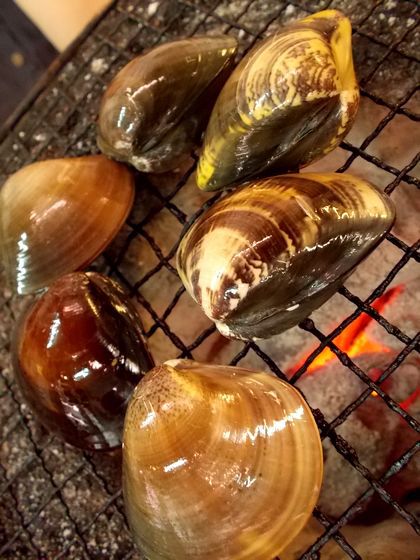 ＋沖縄でお魚を食す！節子鮮魚店＋