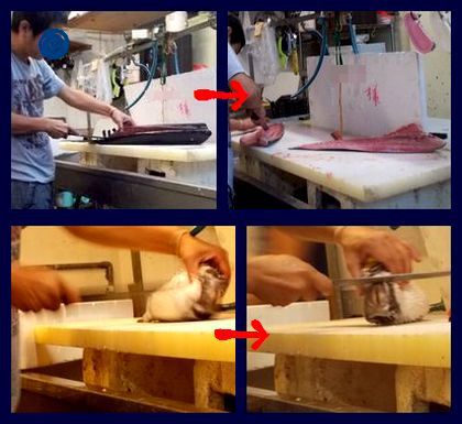 ＋沖縄でお魚を食す！節子鮮魚店＋