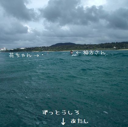 ＋嵐を呼ぶカメ(・∀・)＋