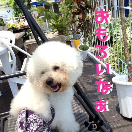 ＋garden kuu CAFÉ＋