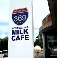 ＋SENAGAJIMA　MILK CAFE＋ 2014/08/17 17:35:47