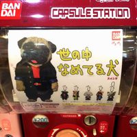 ＋世の中　なめてる犬＋ 2014/09/09 21:06:44