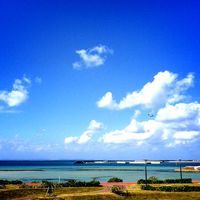 ＋Hawaiian Cafe Dining KOA＋ 2014/12/22 23:15:54