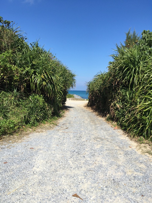 戸建て賃貸　国頭村辺土名ビーチ徒歩1分