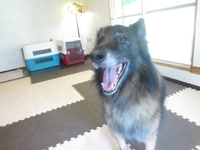 7月2日の記事 2017/07/02 13:41:47