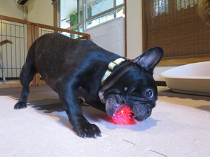 8月21日の記事