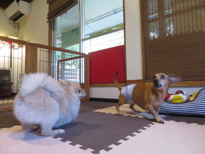 6月5日の記事