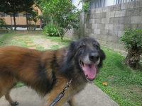 6月6日の記事 2017/06/06 13:47:34