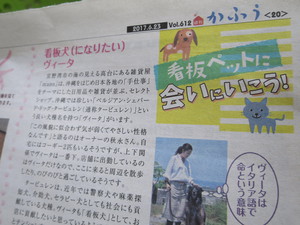 「週間かふう」にっ！！