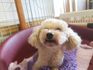 7月10日の記事