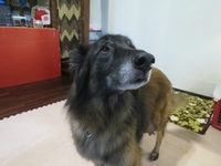 2月10日の記事 2017/02/10 16:06:57