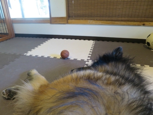 7月14日の記事